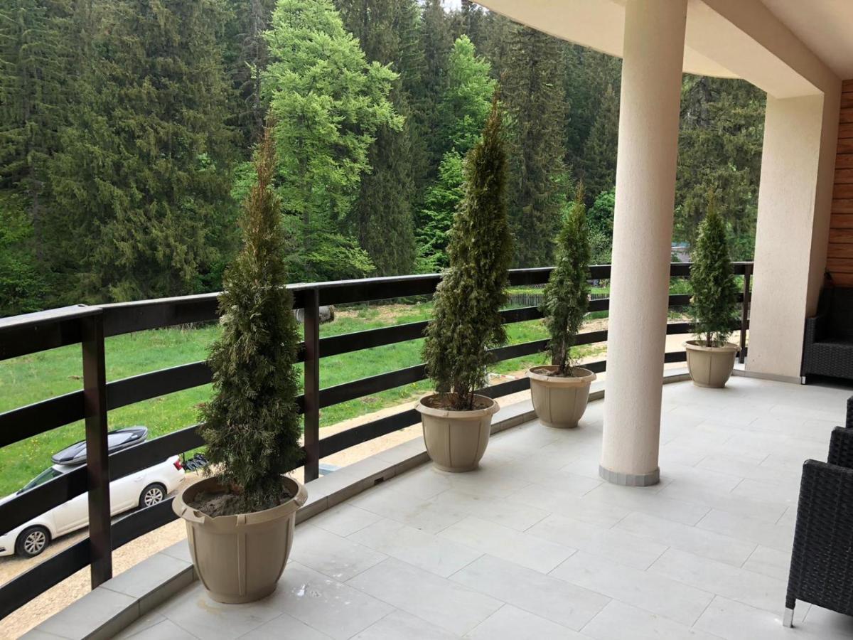 Maya Luxury Residence Пояна Брашов Екстериор снимка